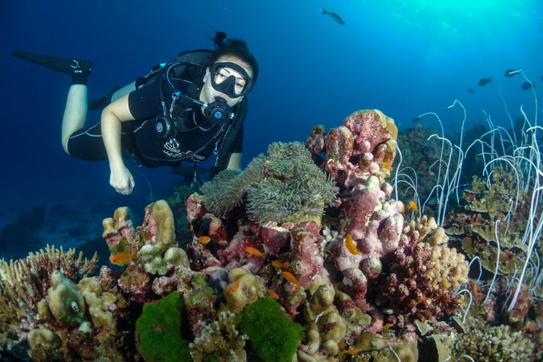 Advanced Recreational Diver