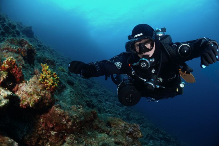 Drysuit Diver (Trockentauchen)